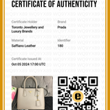 Saffiano Cuir Double Bag Medium