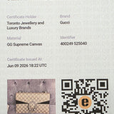 Gucci dionysus medium with black accent